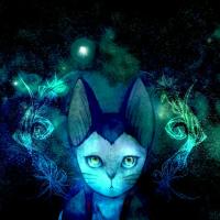 Blucat