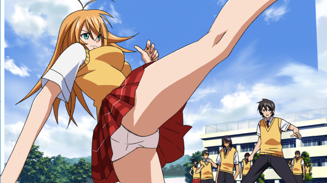 Ikkitousen, its plot can easily be summed up as "school girls fighting...