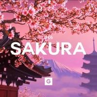 Sakura_ san