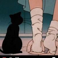 juli por¿ juli por¿