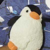 señor pingüino