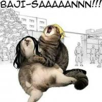 el_gatoo_😭 el_gatoo_😭