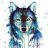 diamond wolf
