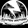 ElecTric NigHcoRe
