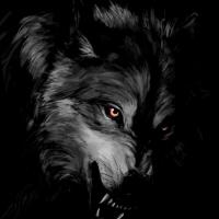 Black D. Wolf