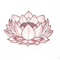Asian Lotus