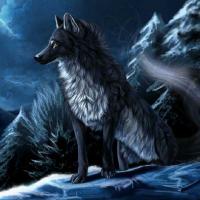 Darkwolf92