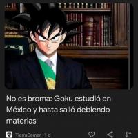 Goku-Profesor.