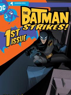 The Batman Strikes