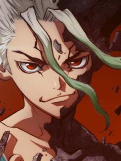 Dr Stone