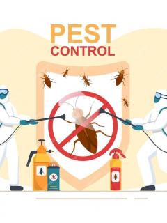 Pest Control Services In Delhi