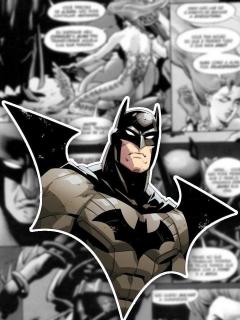 The Batman Chronicles
