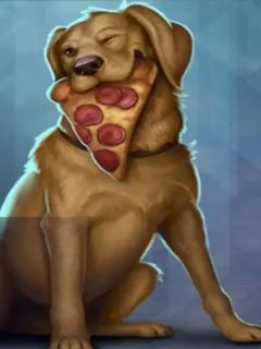 Lucky The Pizza Dog