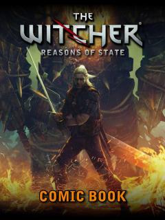 The Witcher: Reasons Of State