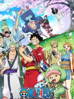 One Piece Continuation