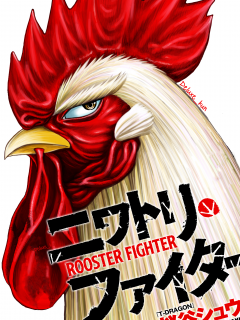 Chicken Fighter
