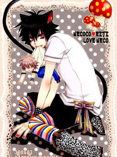Любовь кошки | Love Neco