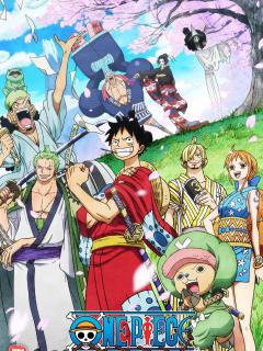 One Piece (continuation)