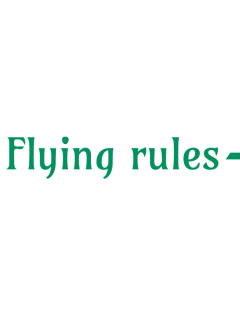 Flying Rules