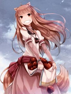 Spice And Wolf (Completo)