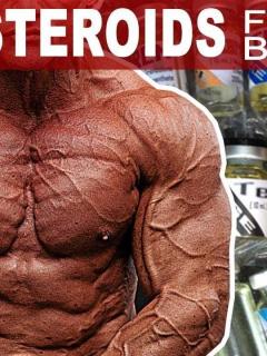 Best Steroids For Cutting 2024