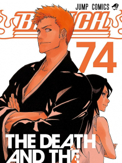 Bleach