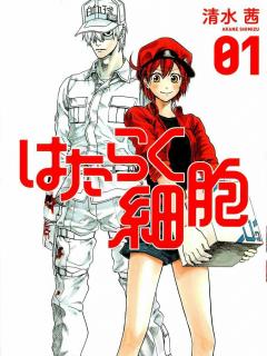 Hataraku Saibou Manga Capitulo 11
