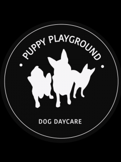 Doggy Daycare: A Comprehensive Guide