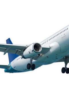Pocketfare989