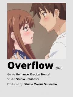 Overflow: Resubido 2
