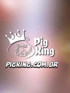 Pig King