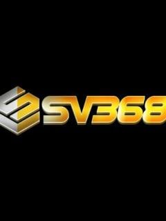 Sv368viinfo