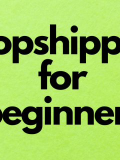 Best Dropshipping Guides In 2025